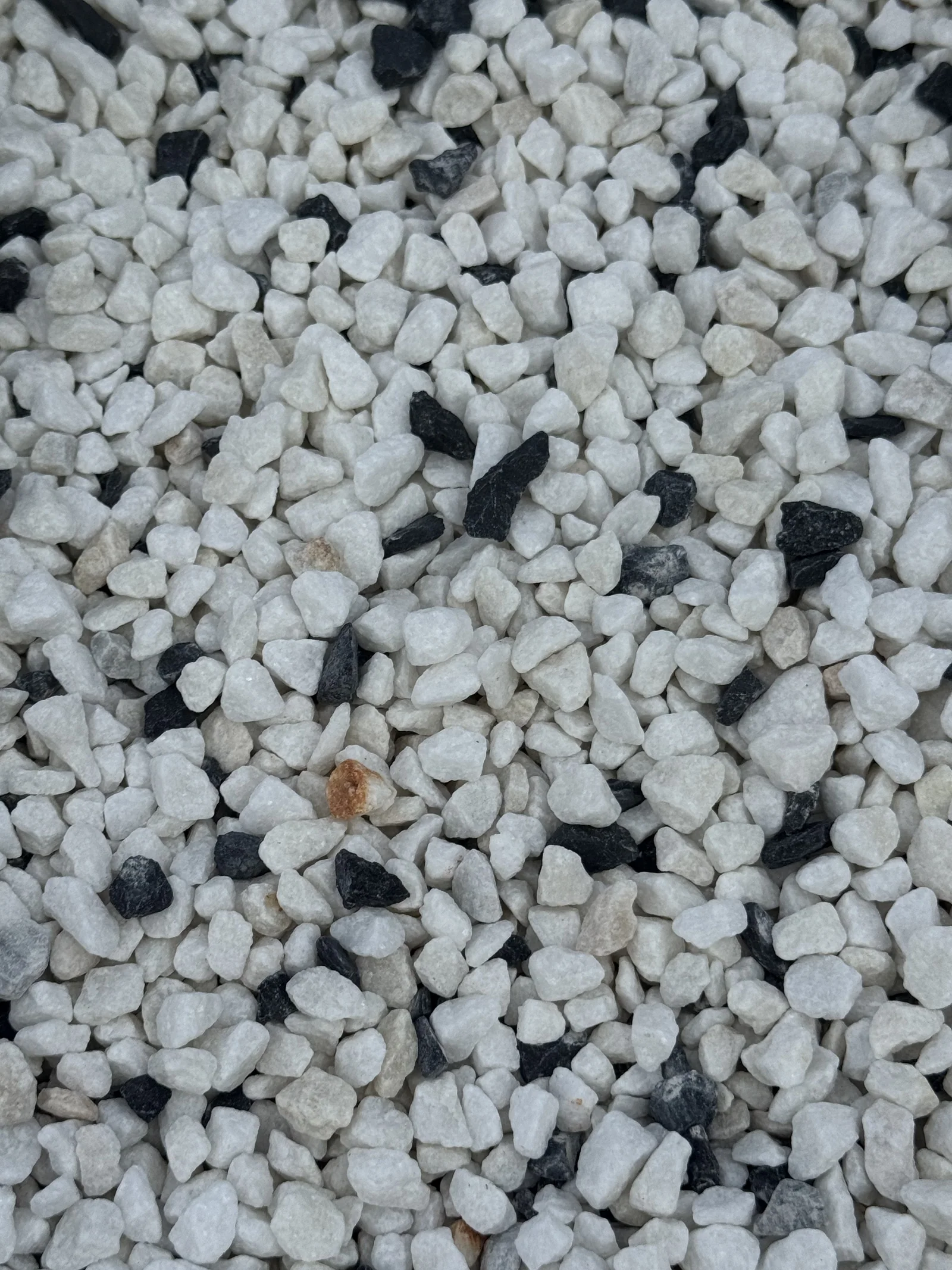 Black and White Mix decorative stone, white chippings with black flecks