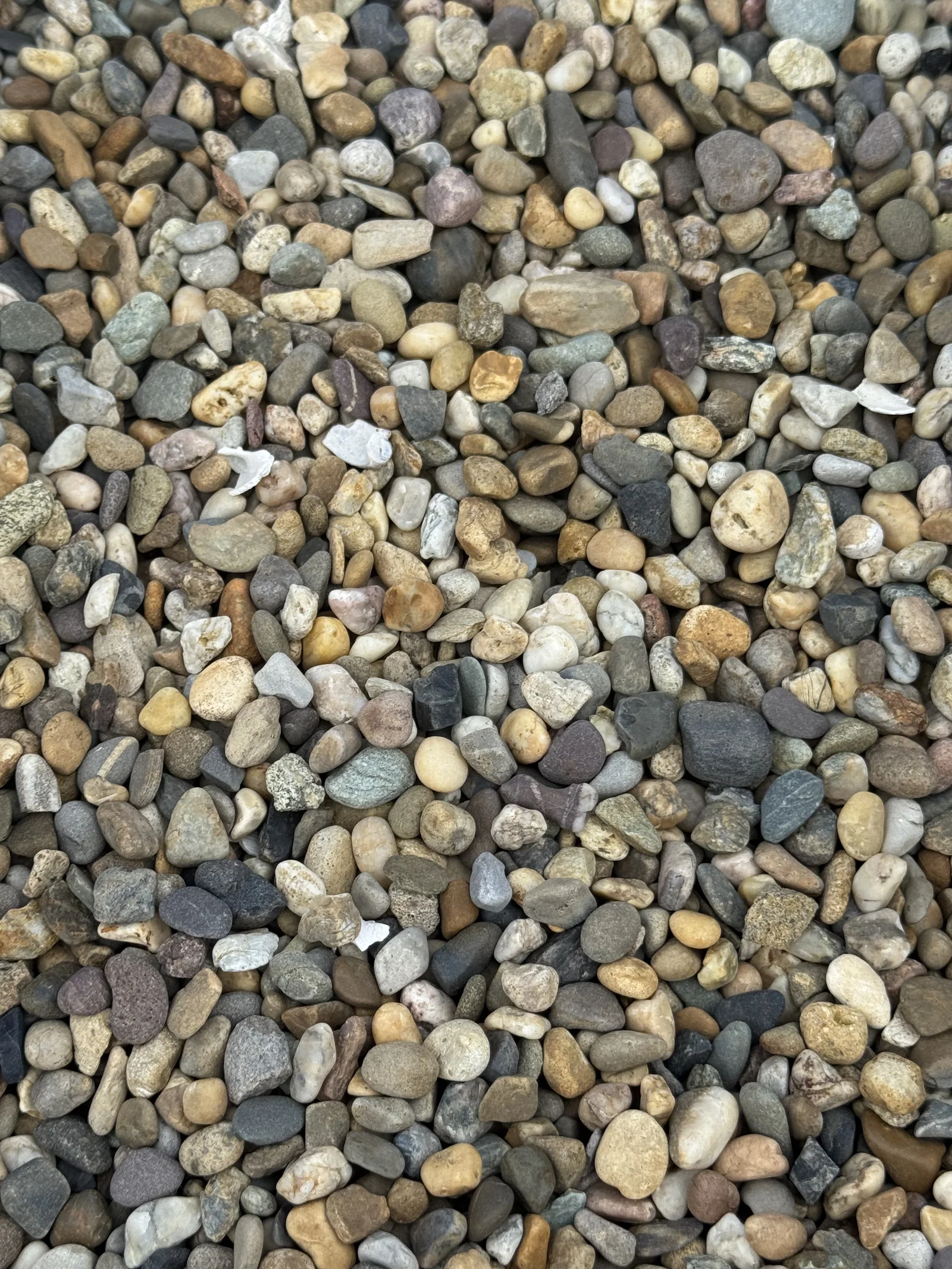 Wexford Pebble decorative stone, small rounded mixed-colour pebbles