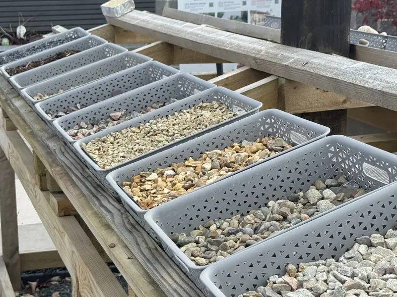 Trays of decorative stone samples in the yard