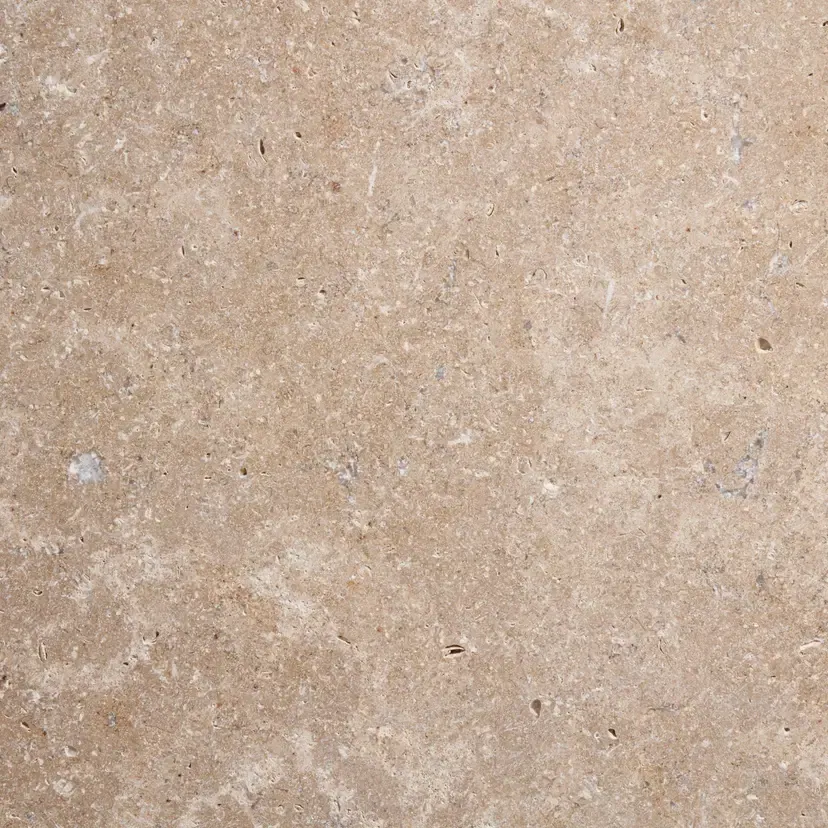Egyptian Limestone paving, warm buff stone with fossil-flecked texture