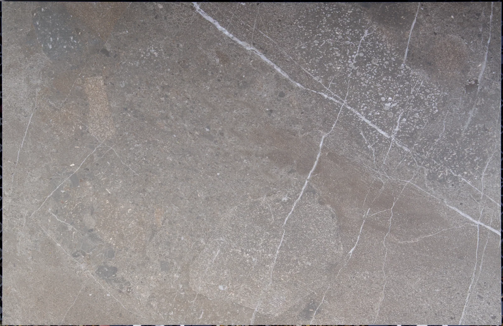 Miller Natural outdoor porcelain tile, warm grey with veining