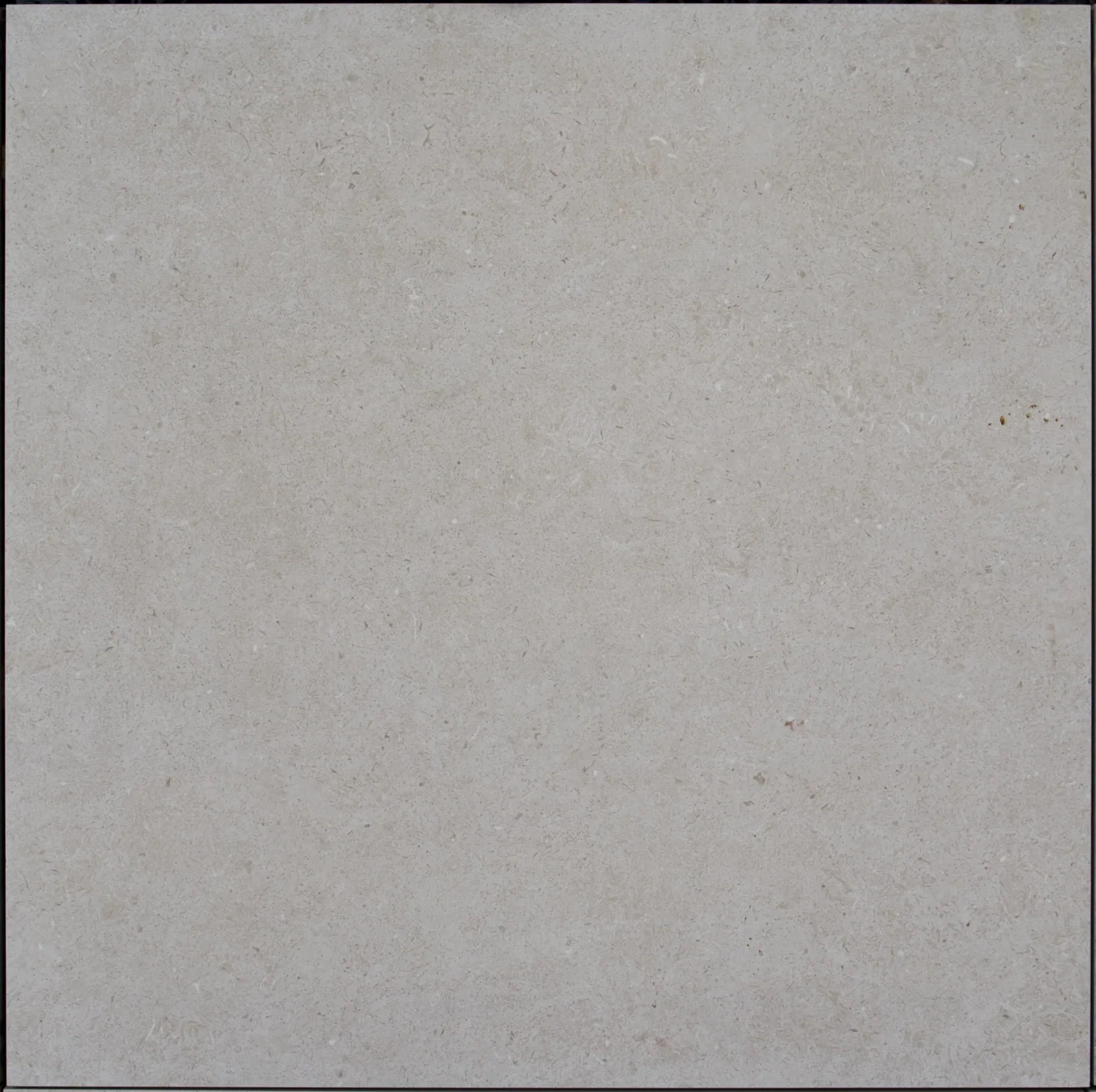 Outdoor porcelain tile, plain light grey — product name to be confirmed